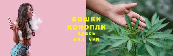 молекула духа Заводоуковск