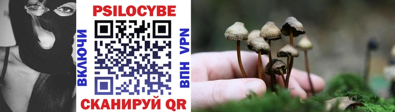 Галлюциногенные грибы Psilocybine cubensis  Светлогорск 